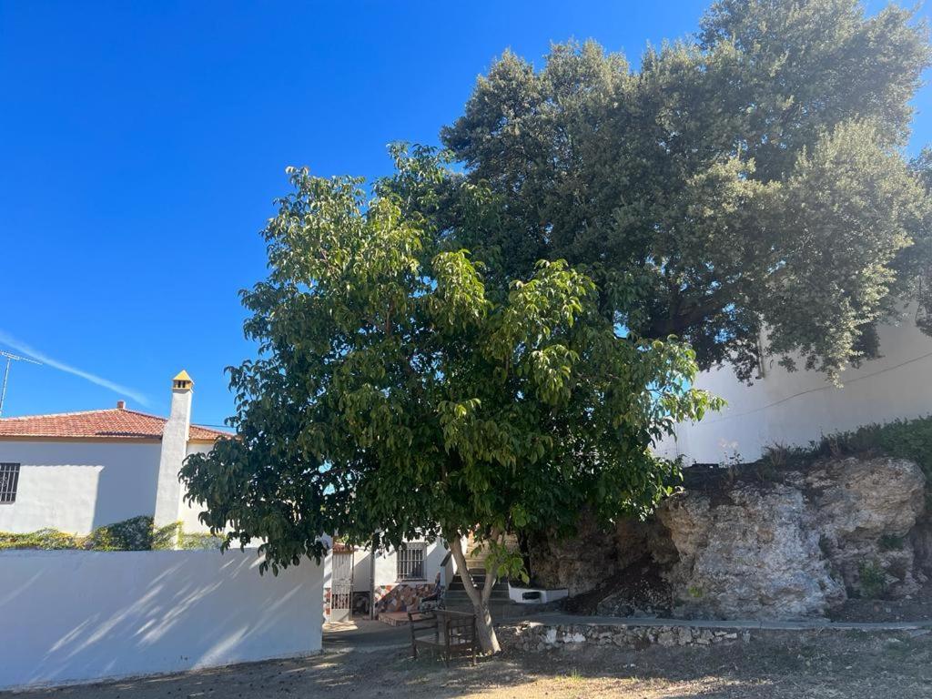 Alojamiento Rural Huerta Mandre Cuevas del Becerro Bagian luar foto