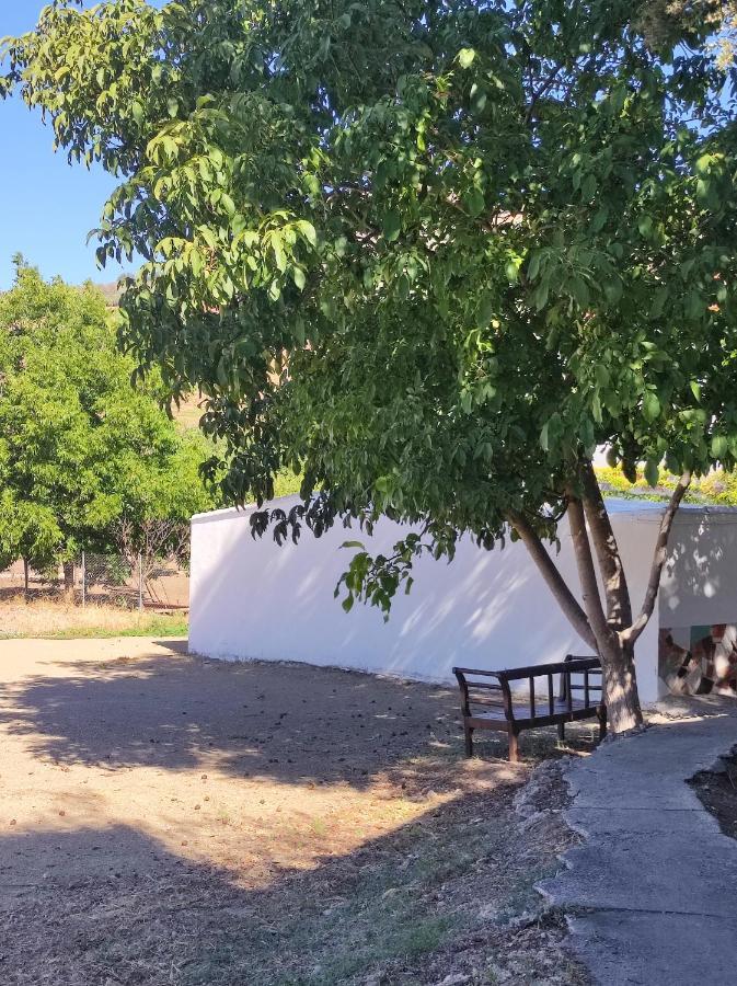 Alojamiento Rural Huerta Mandre Cuevas del Becerro Bagian luar foto